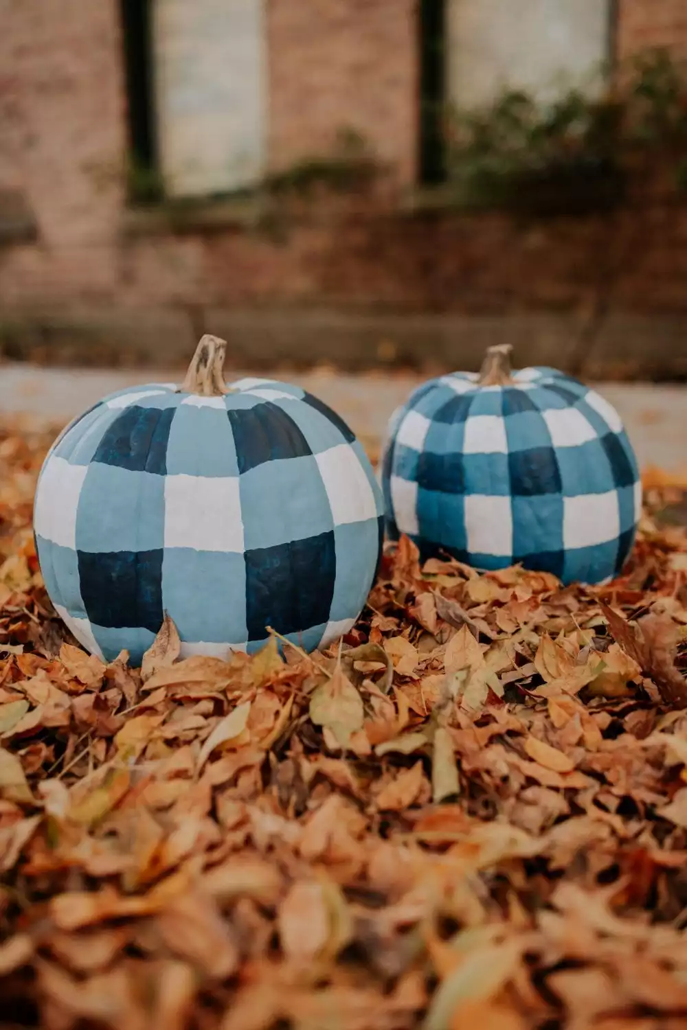 Painting Gingham Pumpkins