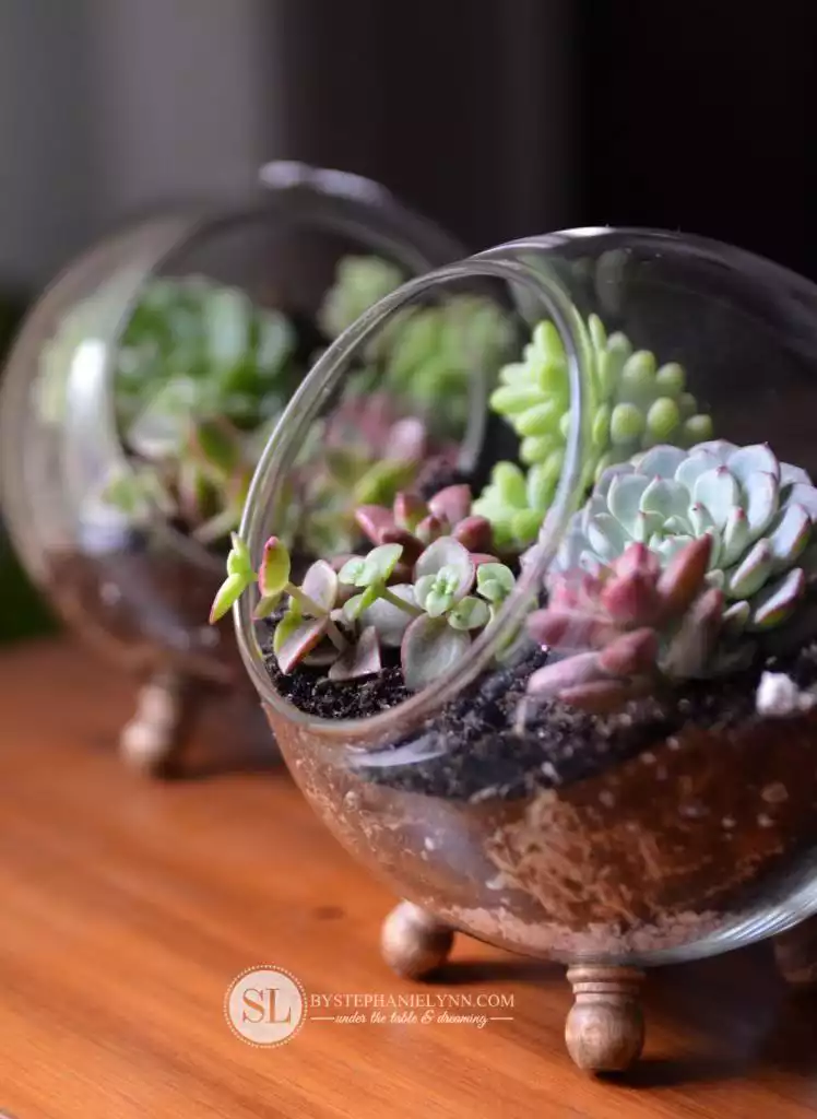 How To Decorate With Terrarium Gardens