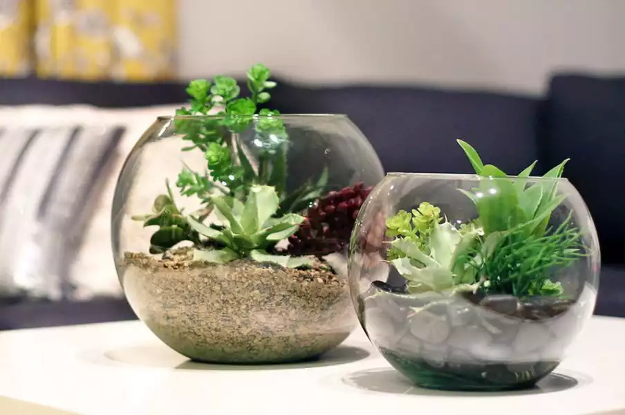 Globe terrariums