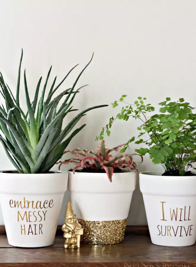 Gold foil planter