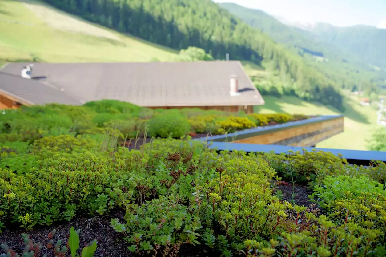 What are Green Roof Systems?