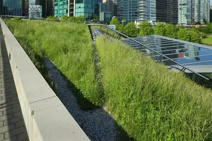 Green Roof Insulation