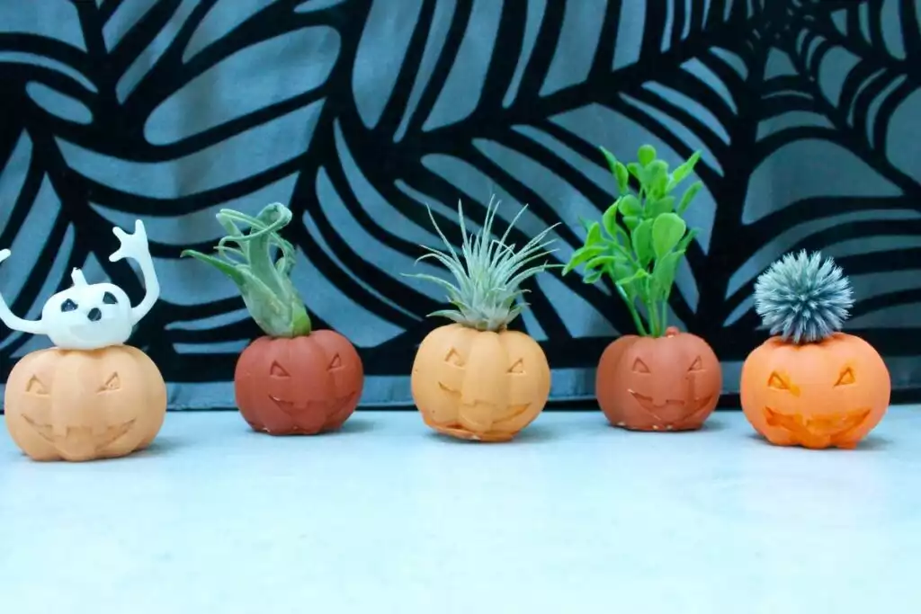 Halloween Pumpkin Air Plant Holders