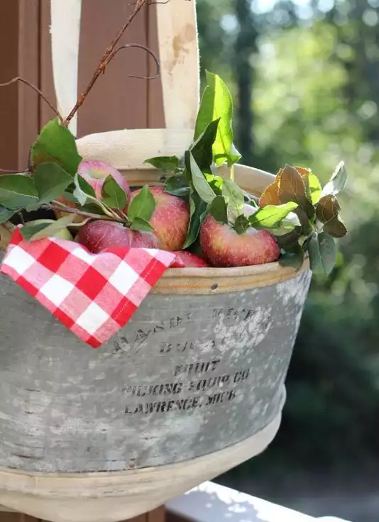 Hanging Tub of Apples