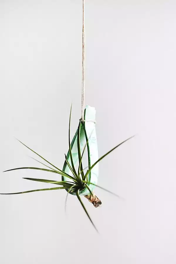 Hanging clay plant holder