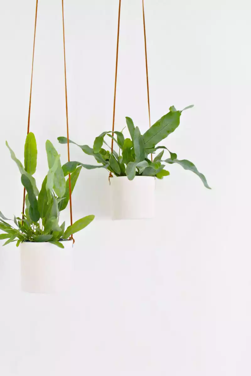 Hanging clay planters