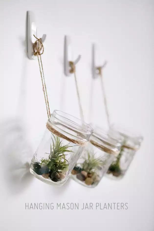 Hanging mason jar planter with air plants