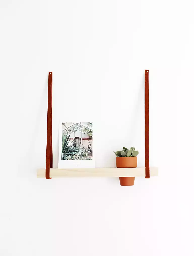 Cute shelf with a planter going through it