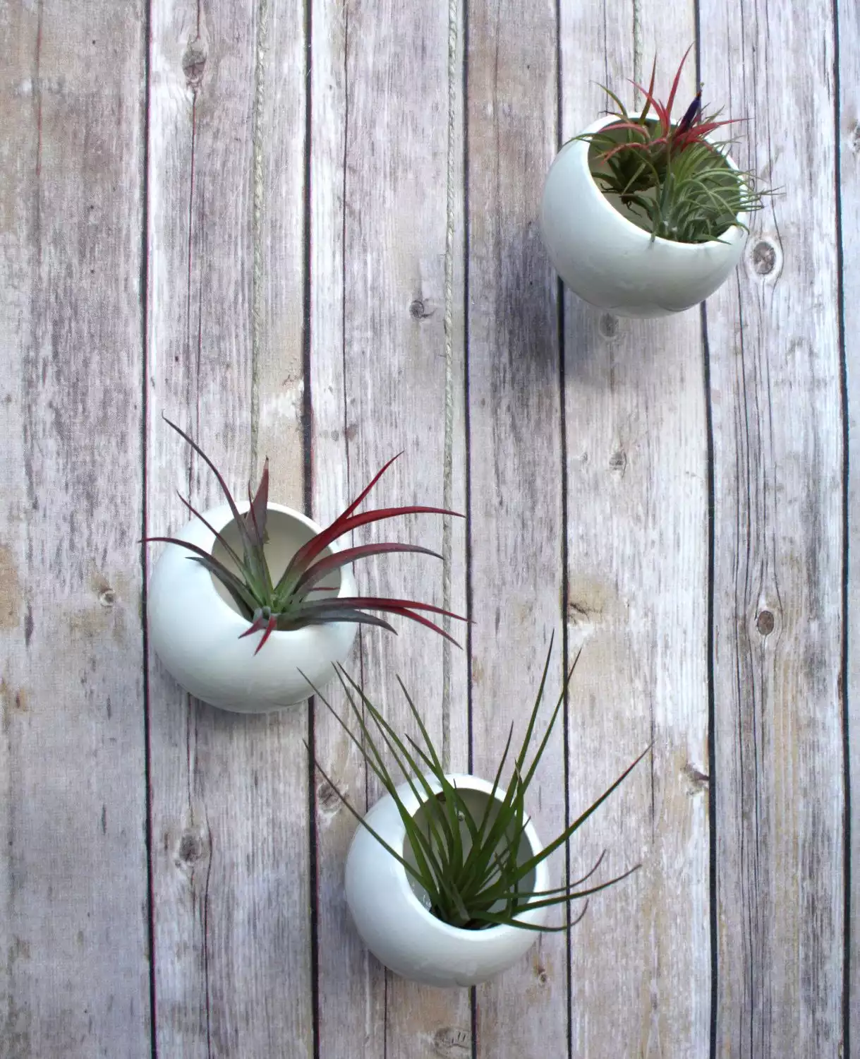 Hanging planters set of three