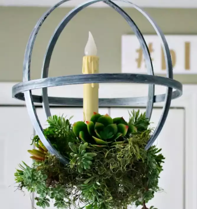Hanging succulent planter