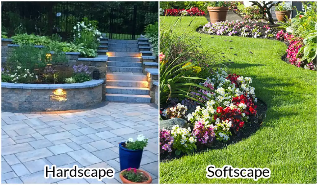 Harscape vs Softscape