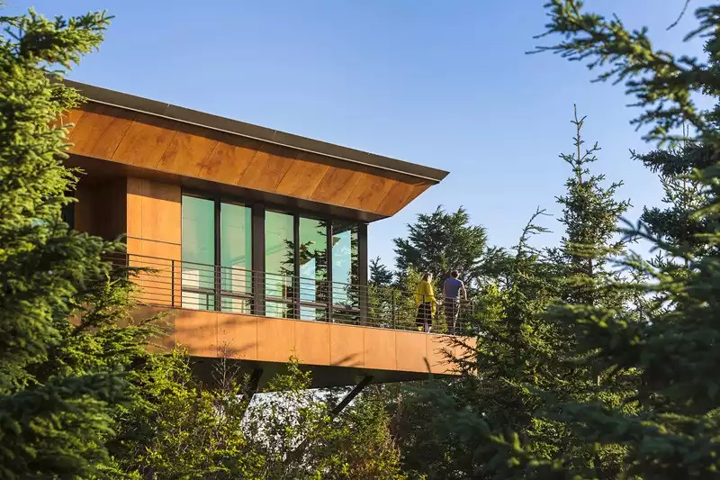 House On A Hillside Among The Trees