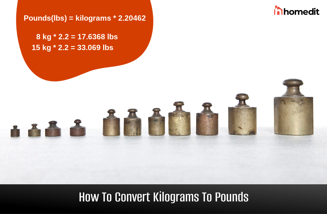 Kg to Pounds Conversion