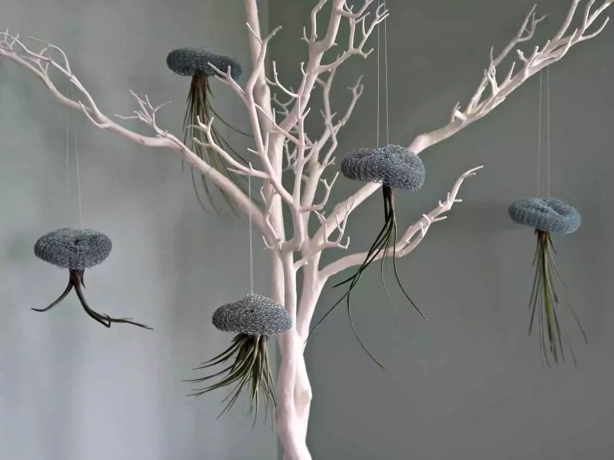 https://craftinvaders.co.uk/how-to-make-adorable-air-plant-and-wire-jellyfish/