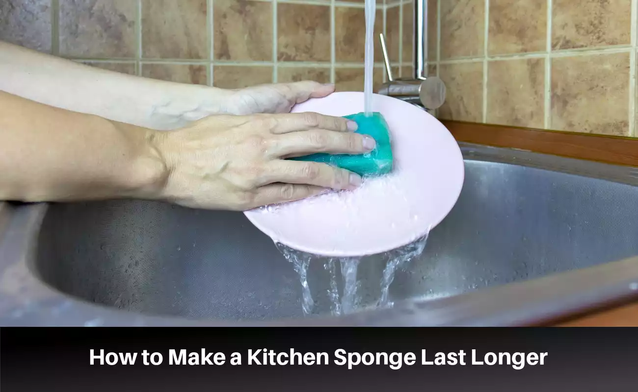 4 Signs You Need to Replace Your Kitchen Sponge