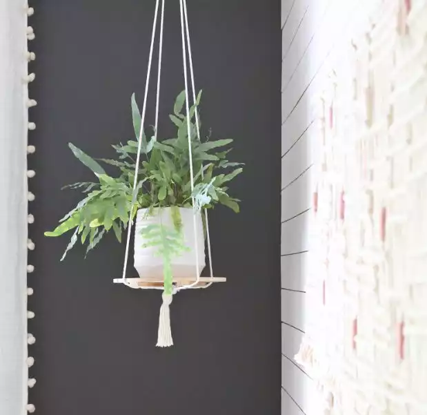Simple shelf made from rope and a wooden plate