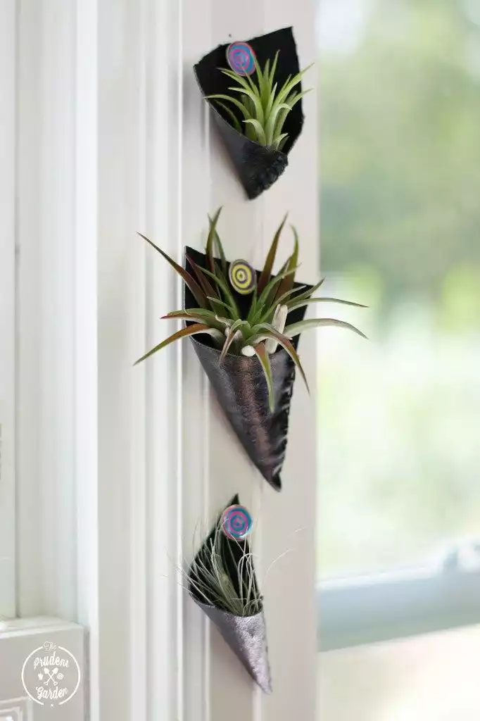 Make leather pocket air plant holders