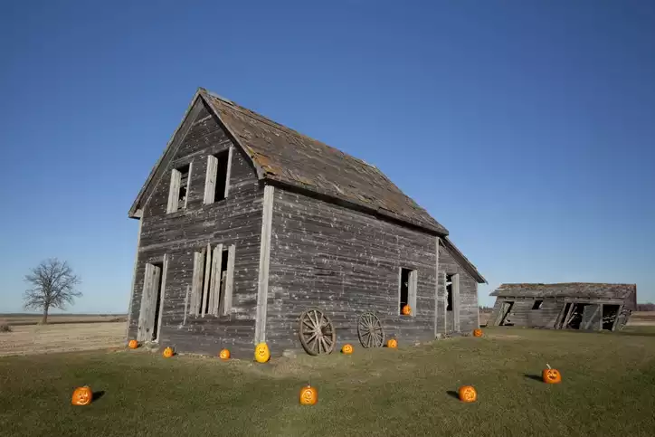Make your house look like an abandoned building