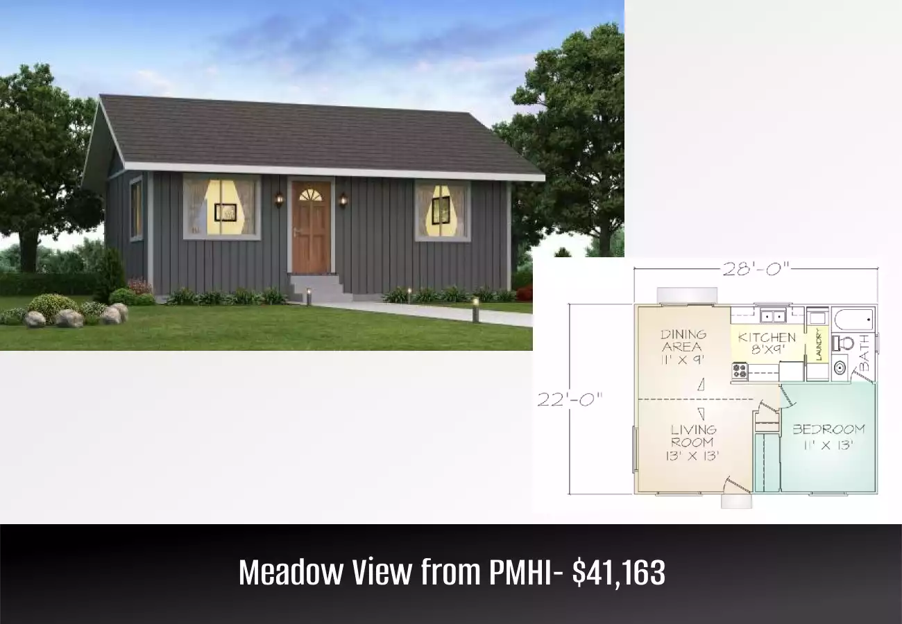 Meadow View from PMHI- $41,163