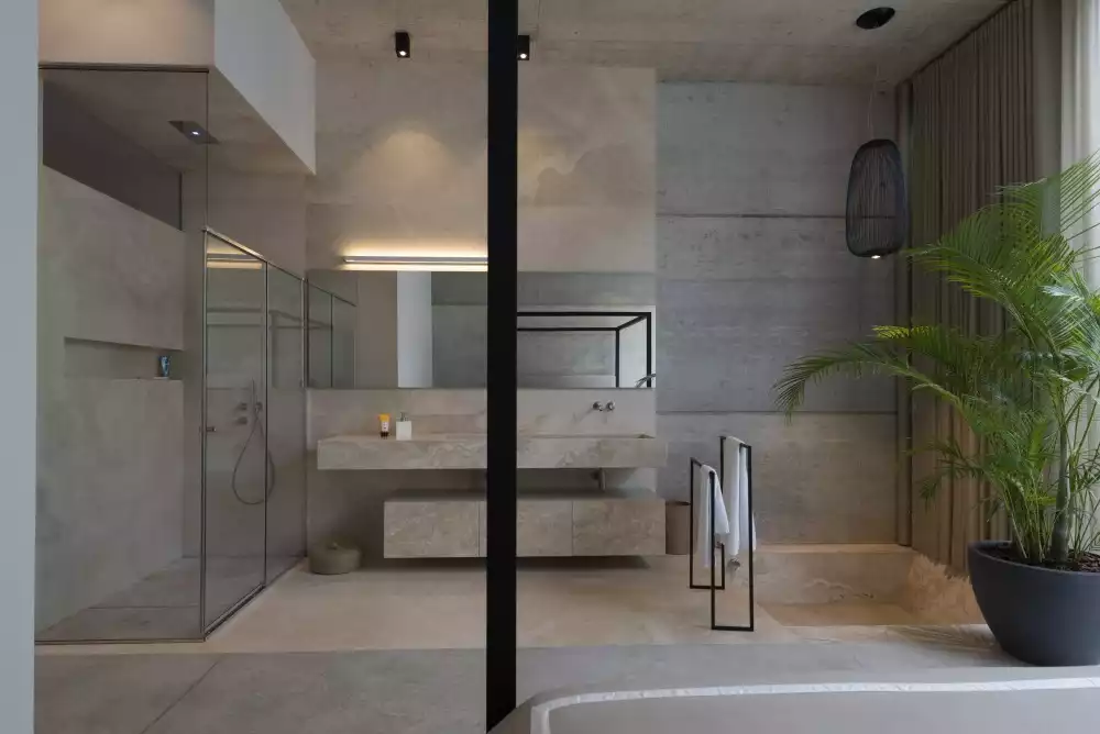 Modern bathroom with walk in shower and sunken tub