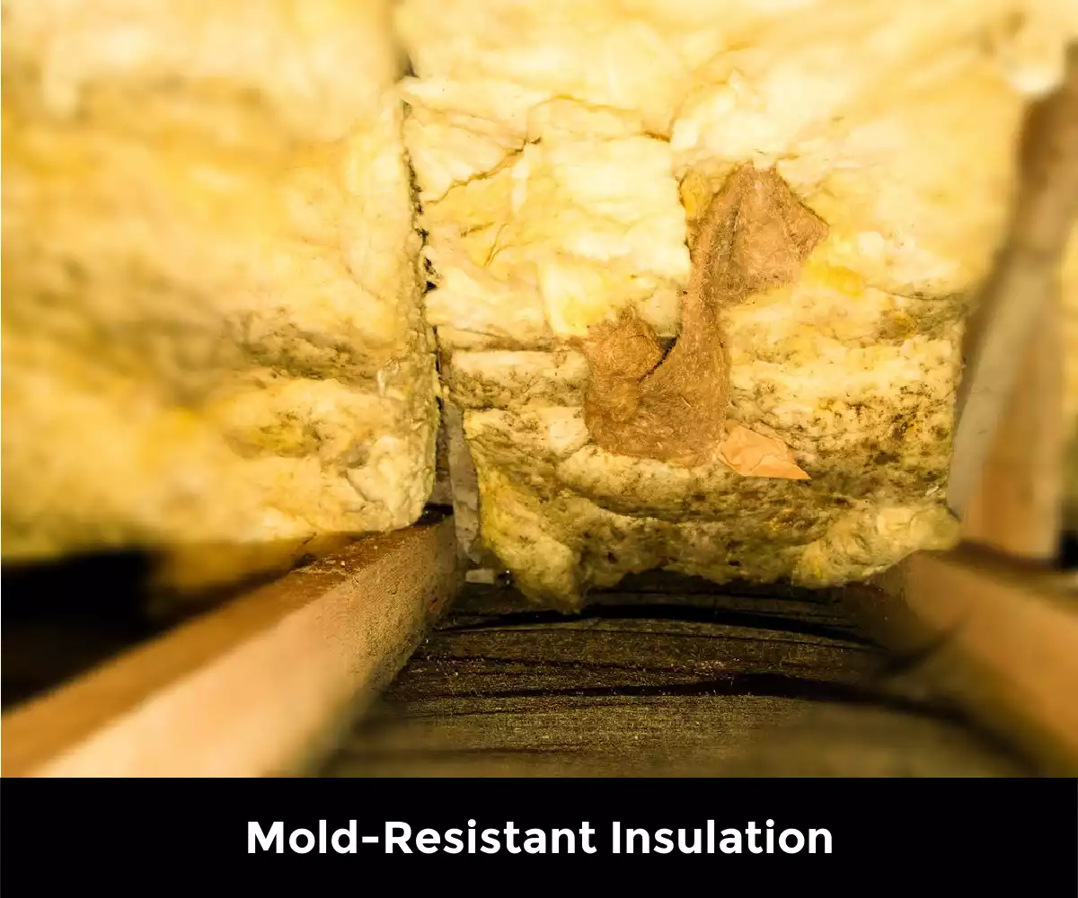 Insulation That Won’t Mold