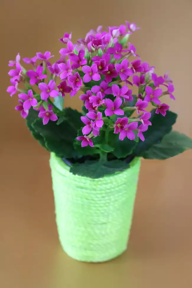 Neon flower vase