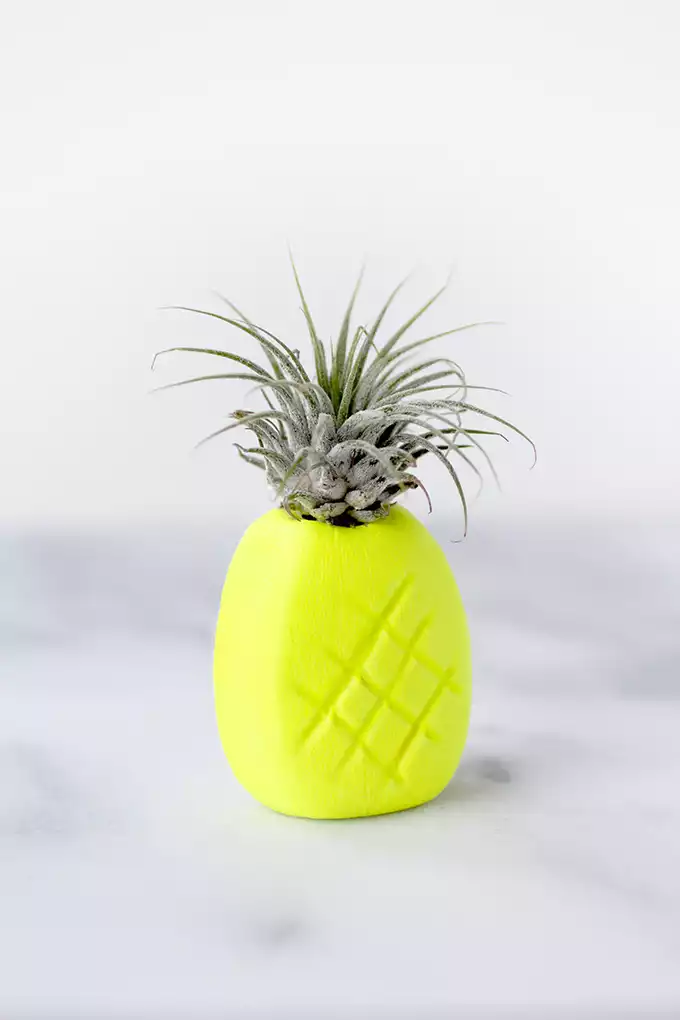 Neon pineapple airplant holder