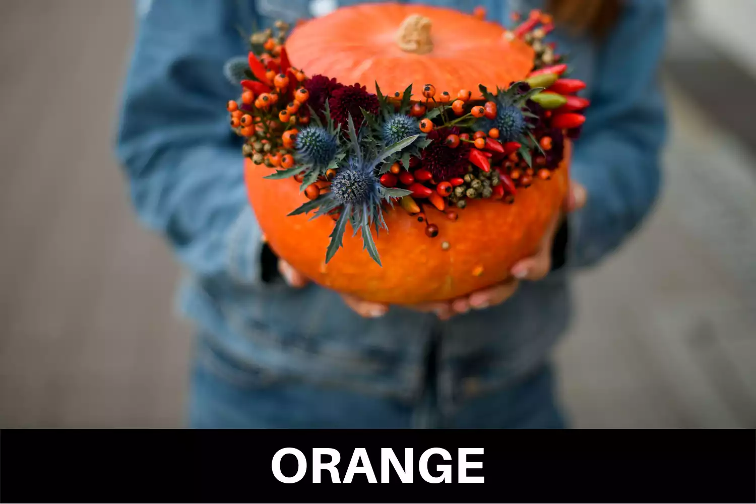 Orange Color: What Does Orange Symbolize?