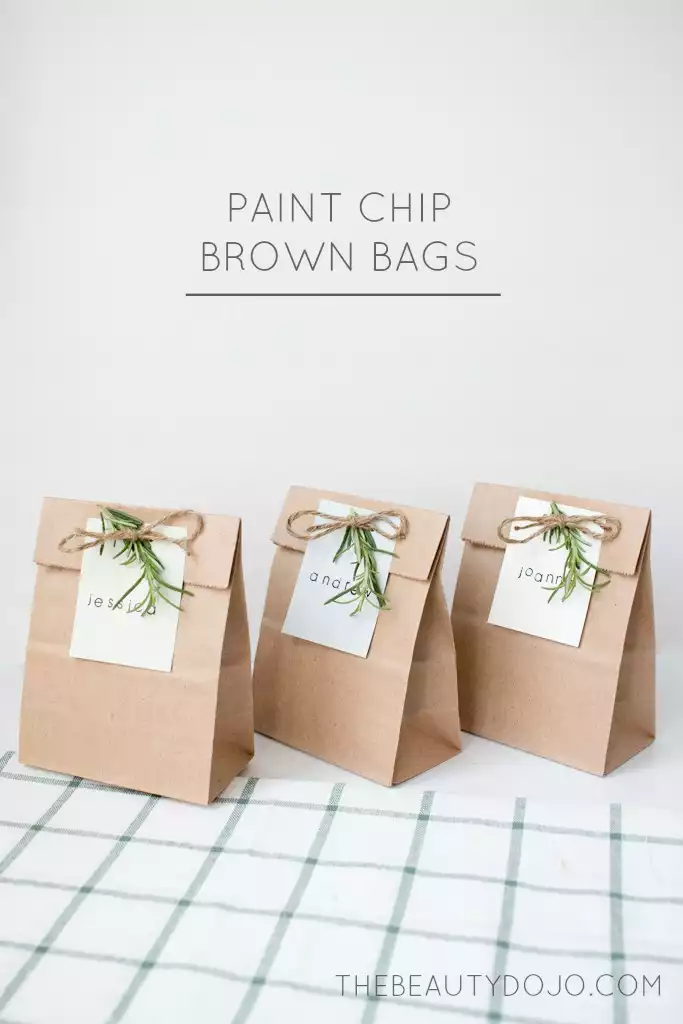 Paint Chip Brown Bags