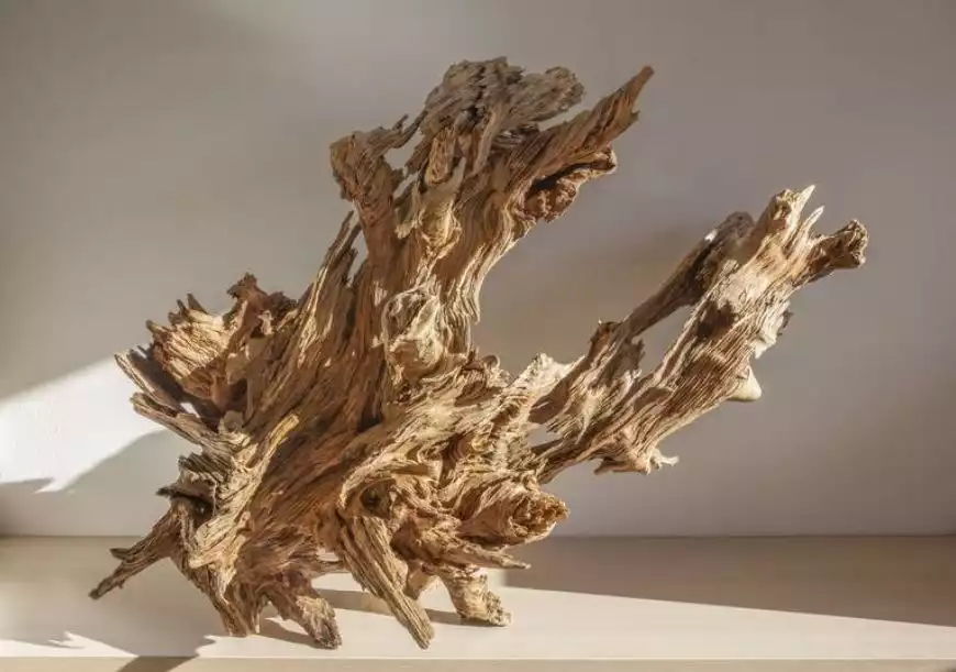 Pine Wood Sculpture