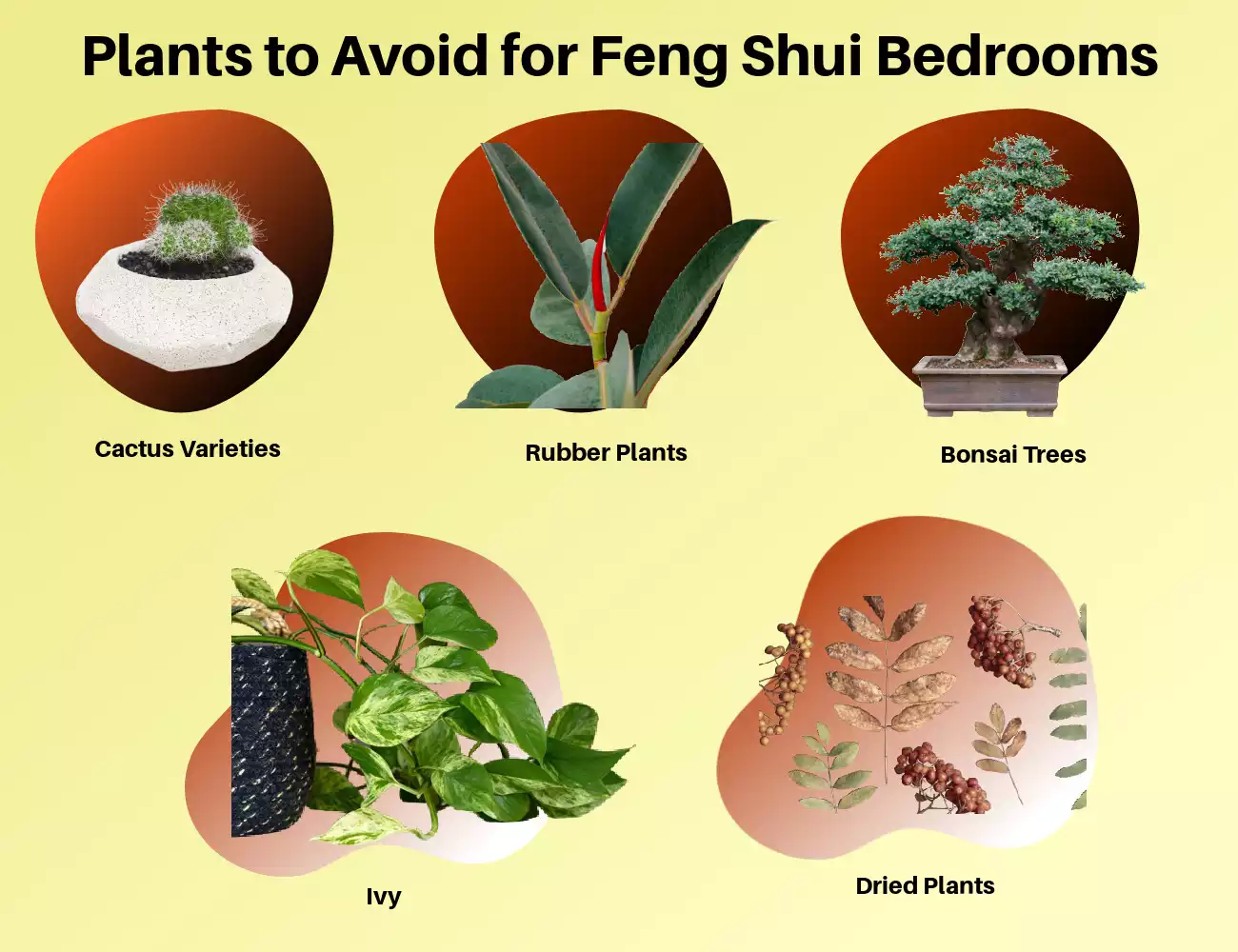 Plants to Avoid for Feng Shui Bedrooms