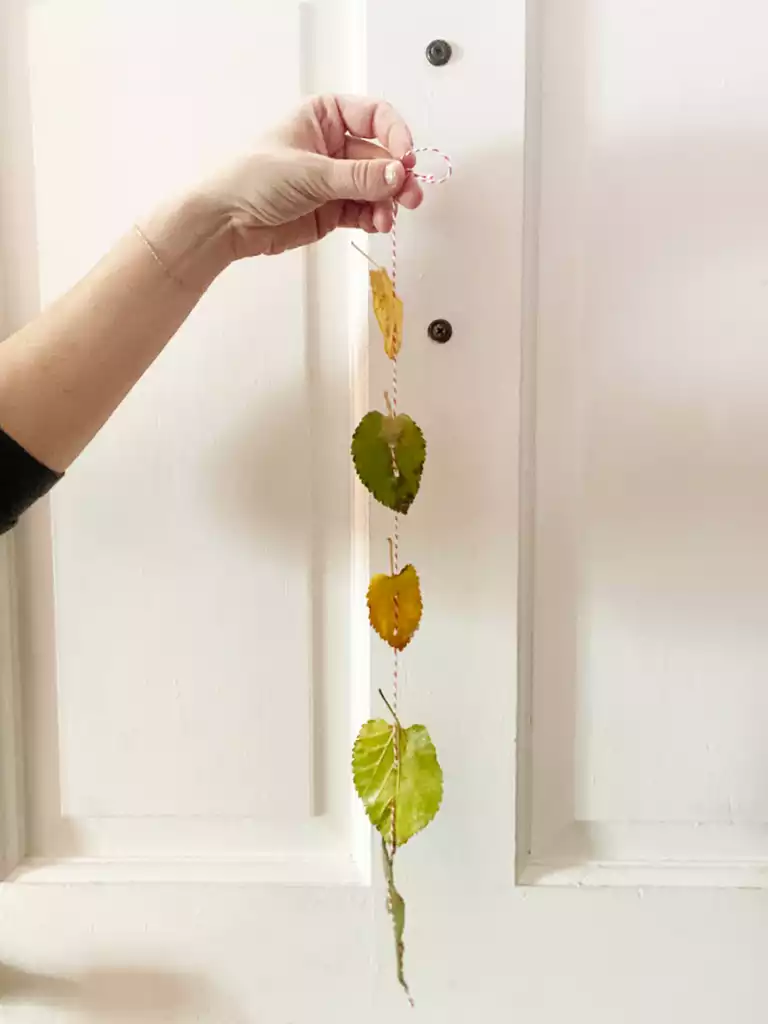 Preserved Leaf Hangings