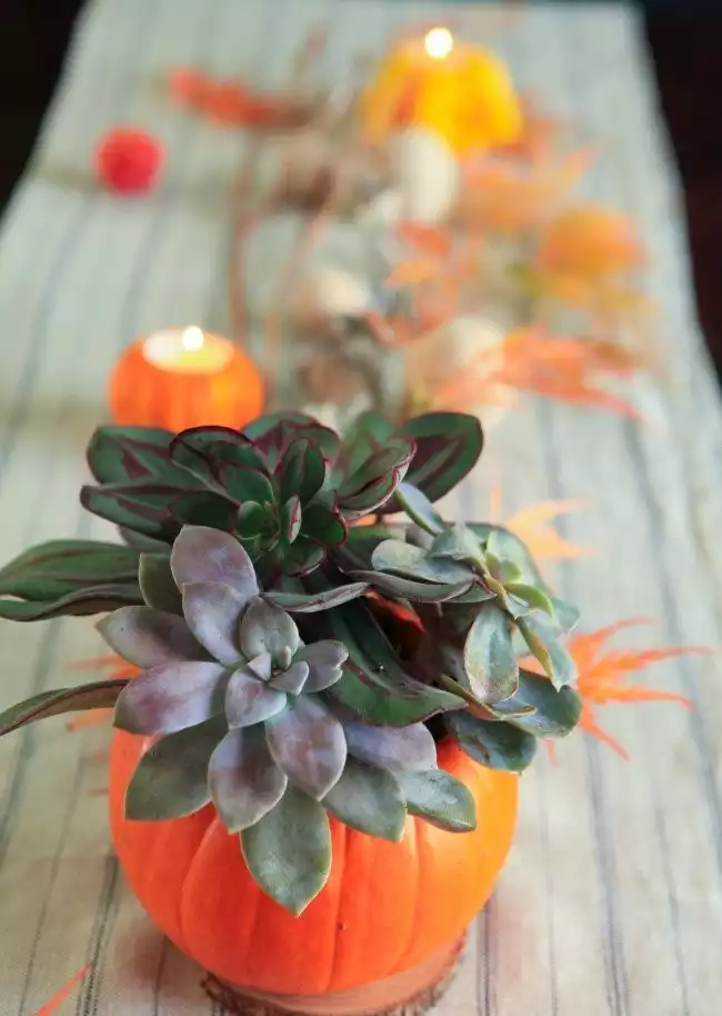 Pumpkin Bouquet
