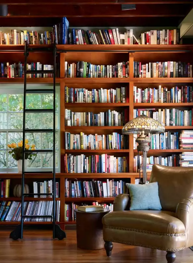 Reading leather chair and library wall