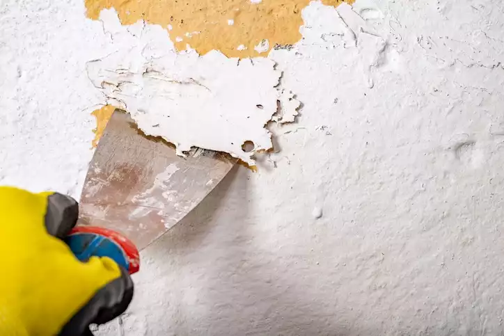 Removing Old Paint