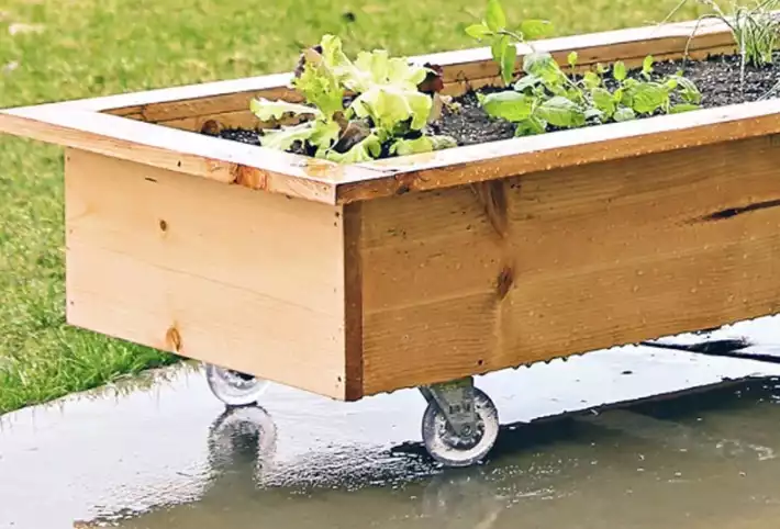 Rolling planter