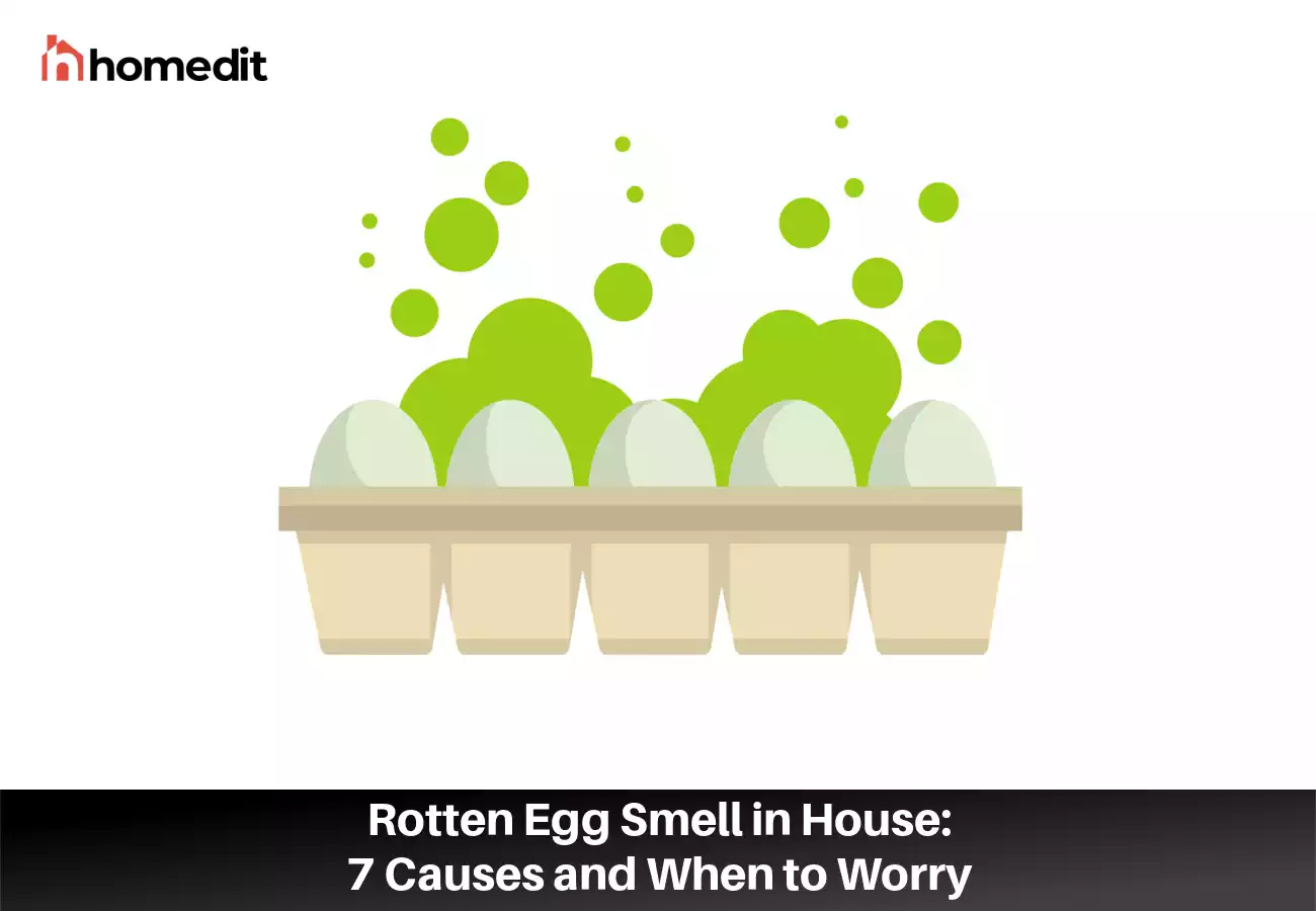 Rotten Egg Smell in House: 7 Causes and When to Worry