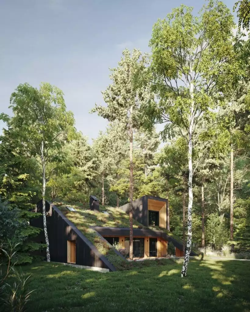 The HillHouse With Slope Green Roof by Snegiri Architects
