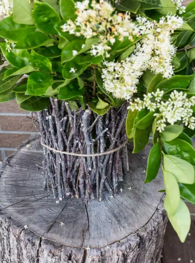 Rustic Twig Vase