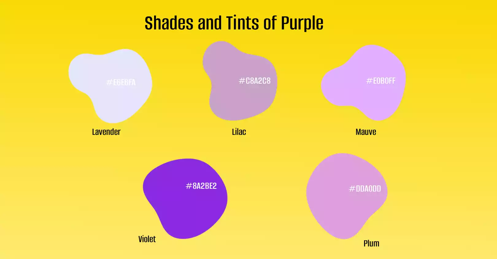 Shades of purple