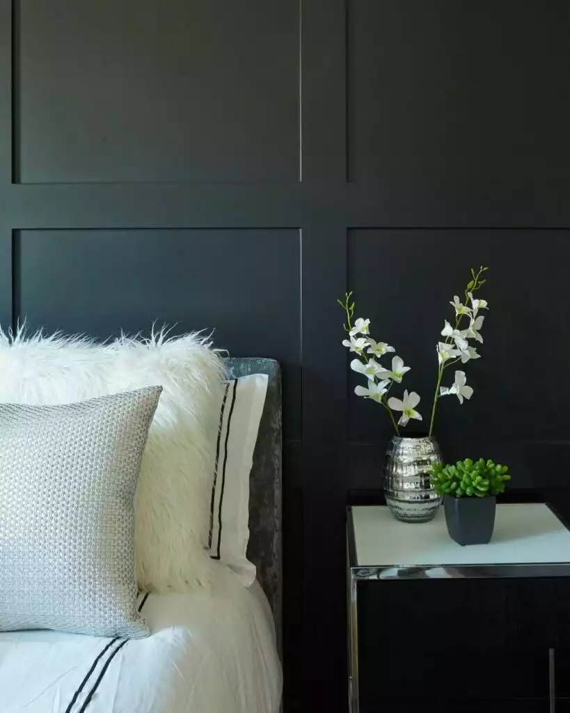 Tricorn Black Sherwin Williams: The Only Black Paint You’ll Ever Need