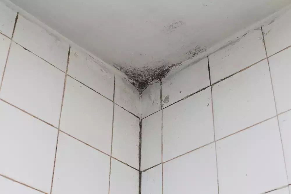 Removing Mold On Bathroom Ceiling