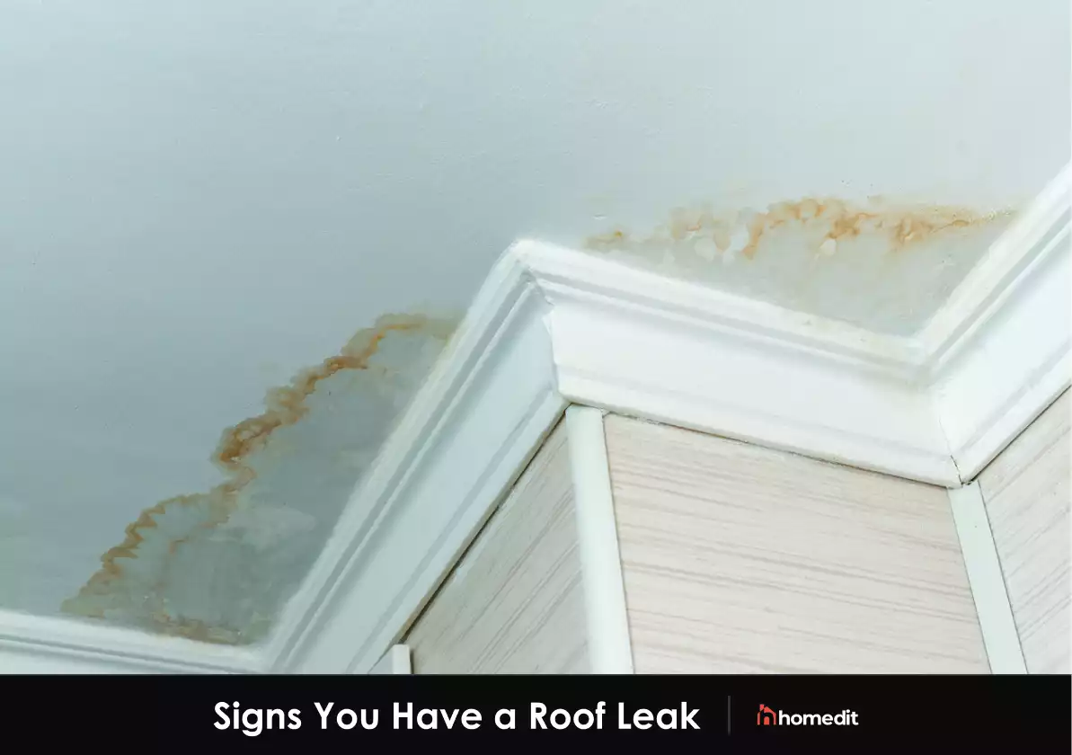 5 Common Causes of Water Leaks in Your Roof