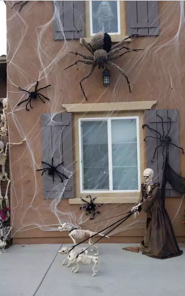 Spiders and Skeleton dogs