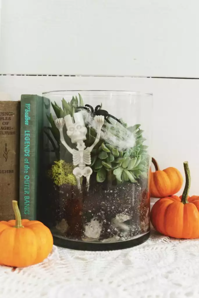 Halloween Spooky Terrarium for Decor