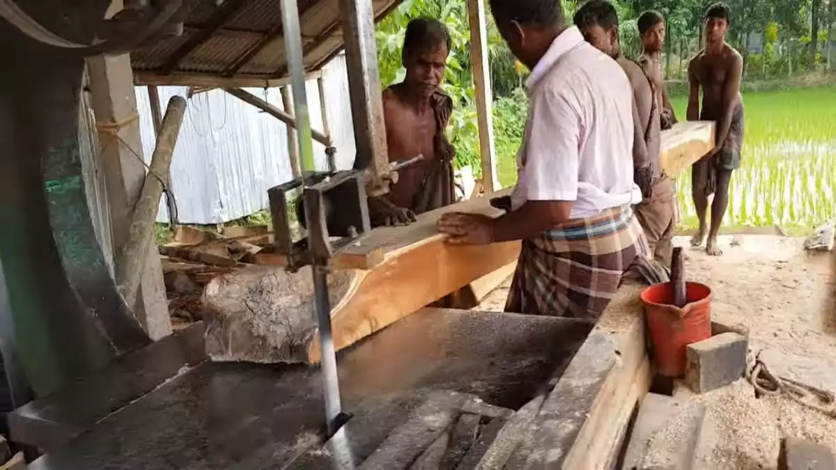 Sustainability of Mango Wood