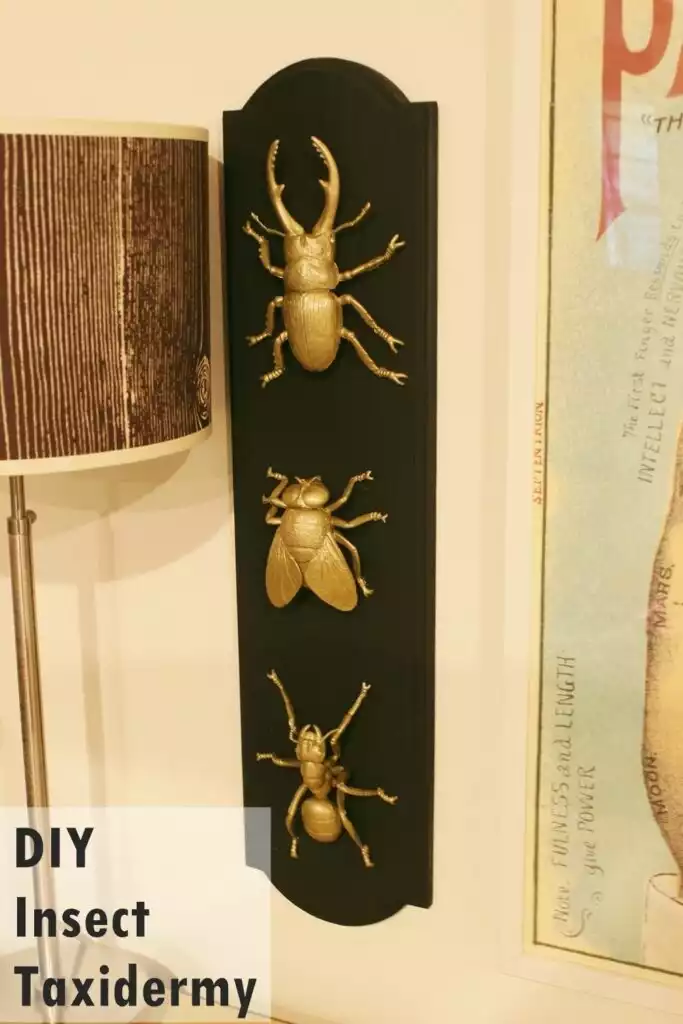 Taxidermy for a Happy and Creepy Halloween