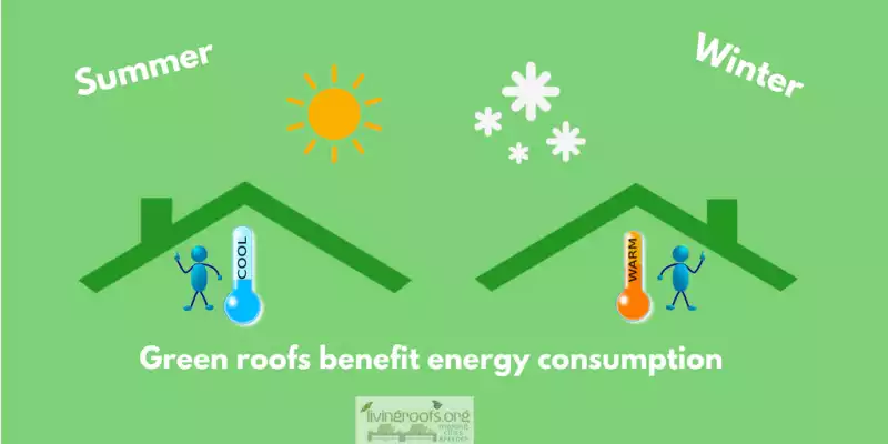 The energy performance of green roofs