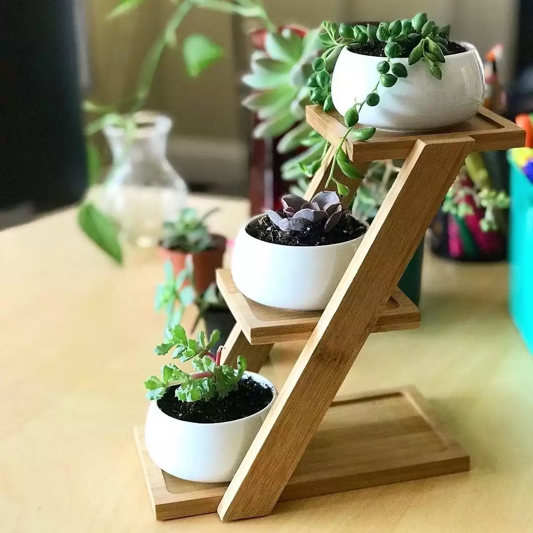 Tiny Geo-Planters