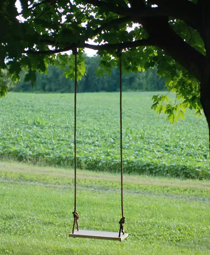 Tree swing simple project for outdoor